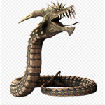 The Snake Fan Group