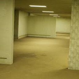 Wednesday in the Backrooms