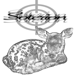 Soterion