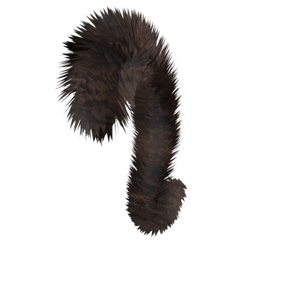 brown cat tail