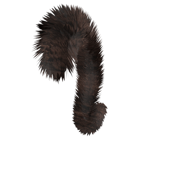 brown cat tail