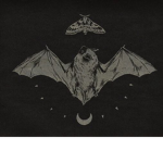bats!!