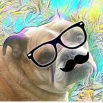 Snazzy Dog Fan Group!!
