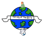 Thewayofthebirds