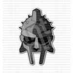 Gladiator Raiders group
