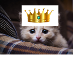 Master Cat Squad