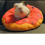 Ultimate roscoe
