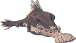 Maldoga
