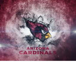 University of Phoenix Stadium