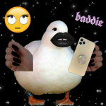 Ducky Clan owo