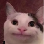 TheWhat#########