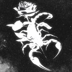 Las Maravillas Del Sol