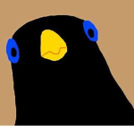 MrMatthew