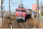 鉄道好きの猫と仲間たち