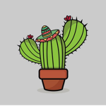 GANG DEI CACTUS