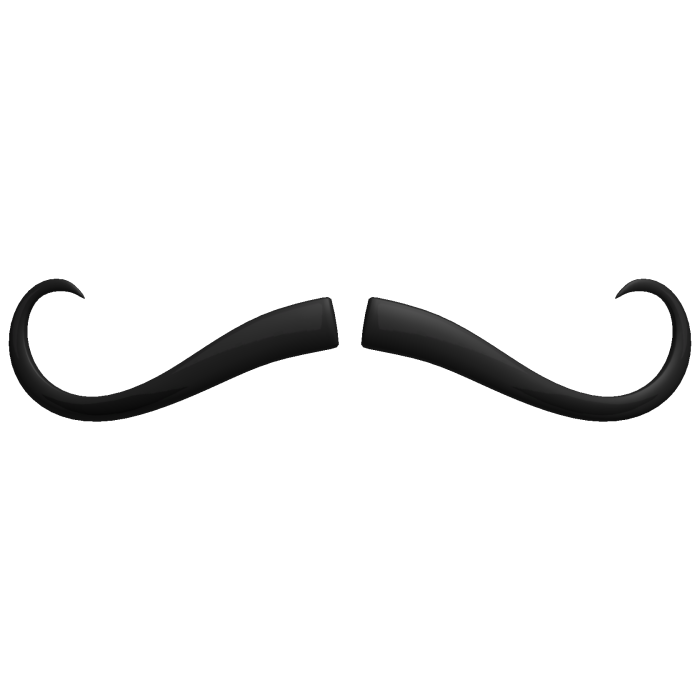 Black Thin Small Mustache Cute Fancy Moustache