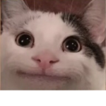 Go to the store pls
