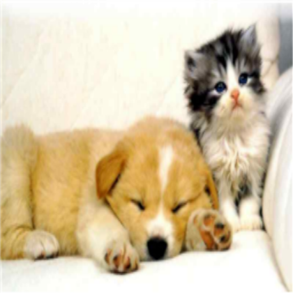 Dog and cat Roblox decal