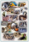 animals are the best