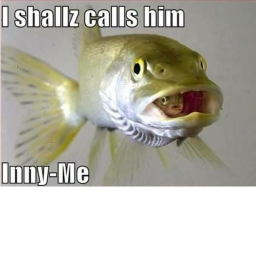 a really bad fish obby