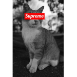 Supreme Extreme Clothing 3