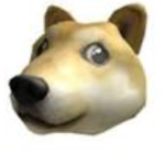 Doge for ever!!