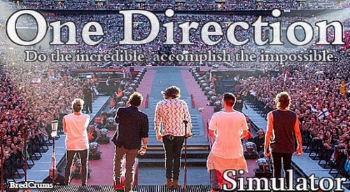 One Direction Simulator