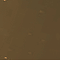 +