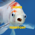 Fishes Territory