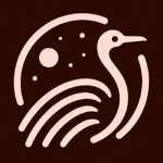 Ostrich Productions