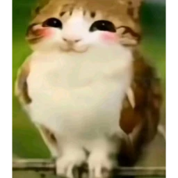TEST icon