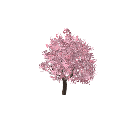 Sakura Park Tree