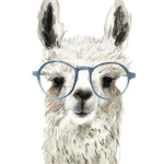 ~Llama crew~