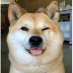 Shiba Faction