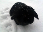 listen along