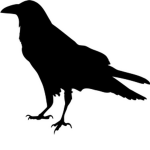 Dark Raven Games