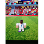 Rodrix GROUP Football