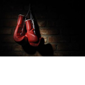 LUCHA TRAINING(CREDIT= PEANUTPARTY298)