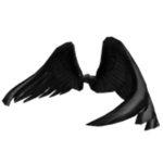 The Wings Squad