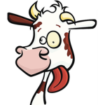 .Crazy Cows.