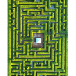 maze obby