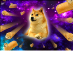 The doge fan’s ultimate club!