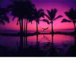 Name_vibez