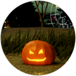 2024 Pumpkin Hunt