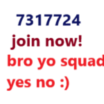 Bro yo squad yes no :)