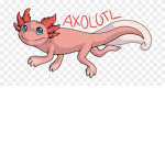 Axolotl. Corp