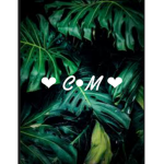 C • M