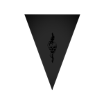 Chaos Insurgency l