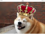 Doge Military Police