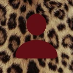.SISTUR. Group Thumbnail